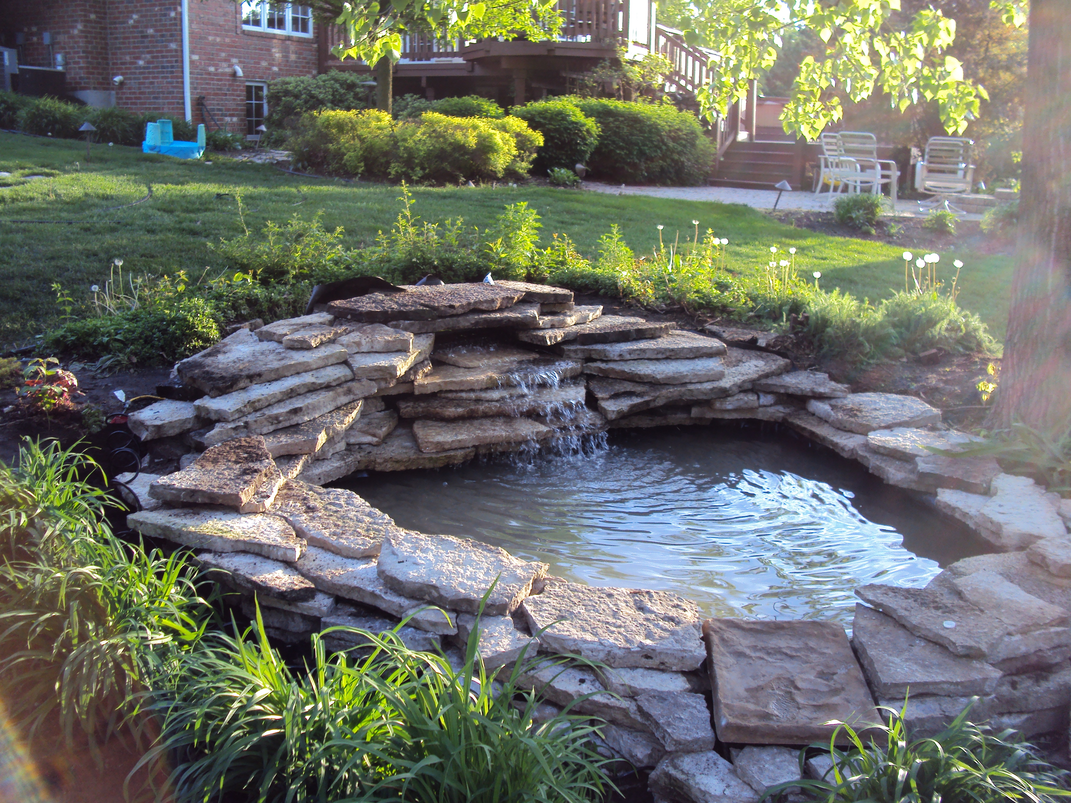 Water Gardening and Ponds : Bruceworks